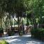 Campeggio Pineta Camping