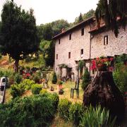 Il Volpino