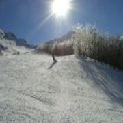 Il Volpino