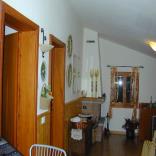 Rododendro