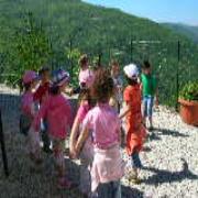 Agrilago