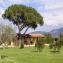 Wakacje Dom Casa Vacanze La Tortuga