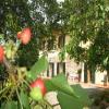 Agriturismo Il Gelso