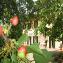 Farm Holidays Agriturismo Il Gelso