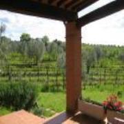 Azienda Agricola Coliberto