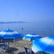 Il Boschetto