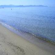 Il Boschetto
