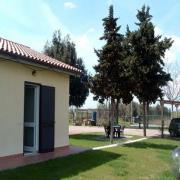 Alberone
