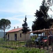 Alberone