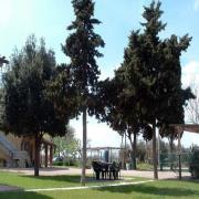 Alberone