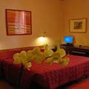 Althea rooms