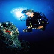 Argentario Divers