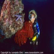 Argentario Divers