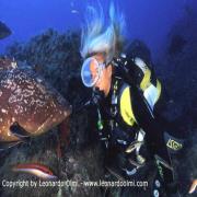 Argentario Divers