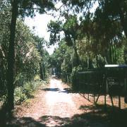 Boboba il Villaggio