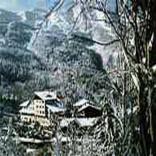 Boscolungo