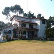 Bueri