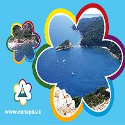 Canapai