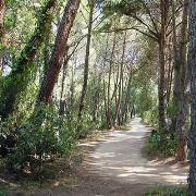 Villa la Cavaliera