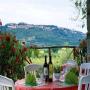 Tenuta Il Cicalino