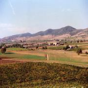 Poggio Ciliegio