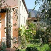 Fattoria Colle Verde