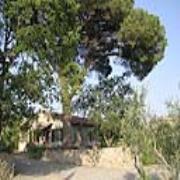 Fattoria di Corsignano