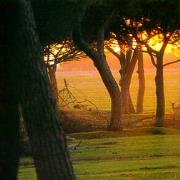 Costa Maremma