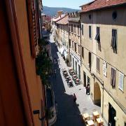 Sole