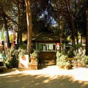 Il Gabbiano Camping Village