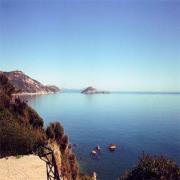 Il Pellicano