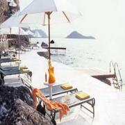 Il Pellicano