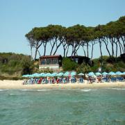 Il Boschetto