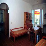 Il Pavone