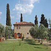 Il Saracino