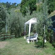 In Valle