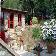 BED AND BREAKFAST LA VECCHIA FONTE