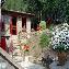 Bed and Breakfast La Vecchia Fonte