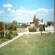 Aliante