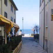 Le Colombe