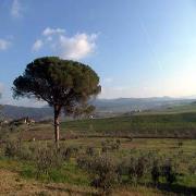 Le Fornacine