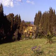 Podere Le Pinete