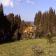 AGRITURISMO PODERE LE PINETE