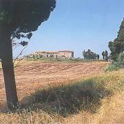Podere Le Pinete