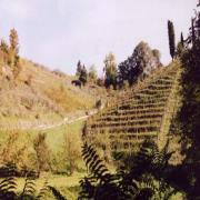 Agriturismo Macea