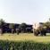 AGENZIA IMMOBILIARE MARINETTA VACANZE