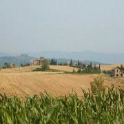 Tenuta di Mensanello