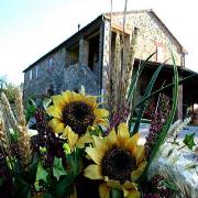 Agriturismo Montebello