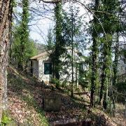 Immobiliare Palazzeta