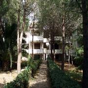 Immobiliare Palazzeta